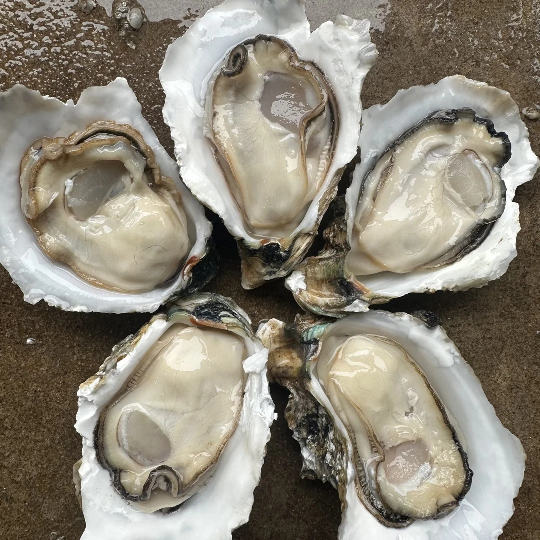 【同城配送】4+生蚝10个（200克左右）