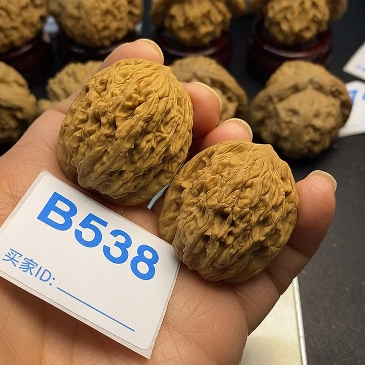 明***了核桃虎头3.3，00000