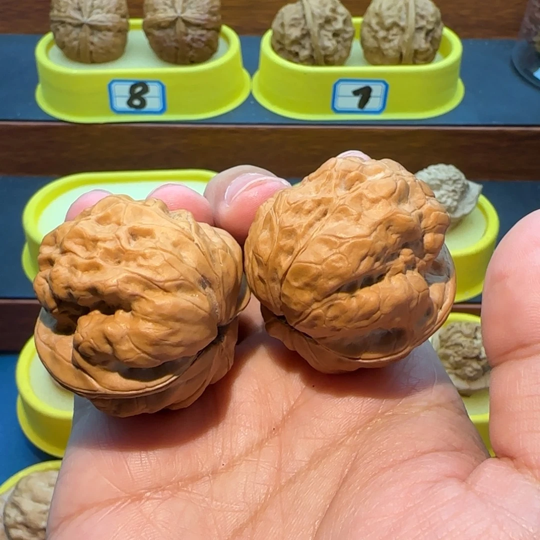 用***8桃核把件蟾祖核桃