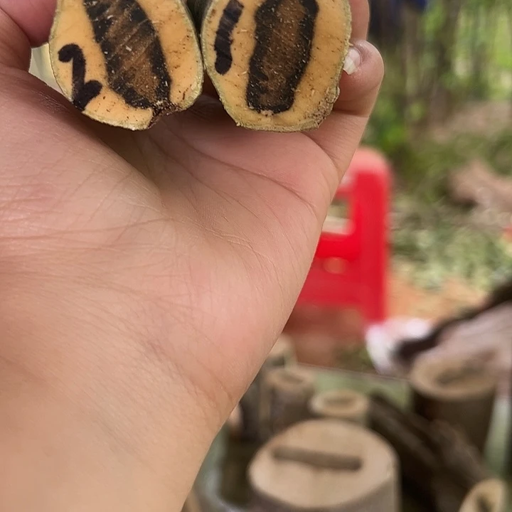 线香奇楠沉香原木