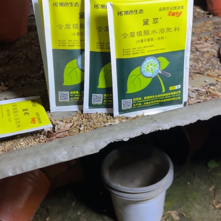 瑞妈多肉园艺，4包邮。