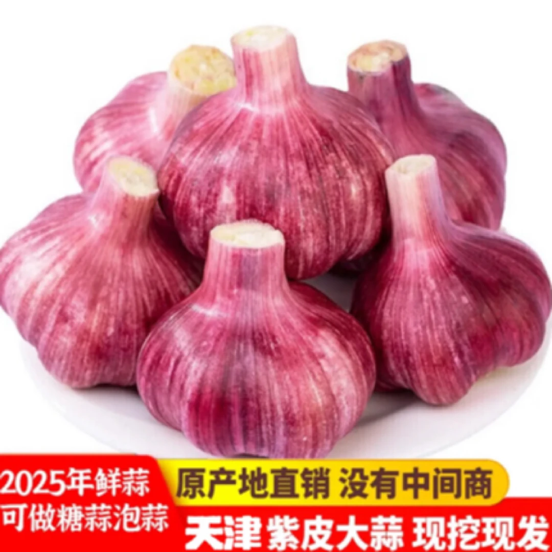 【云端农场】天津本地紫皮新蒜20头净重（2.5-3斤）糖蒜泡蒜新鲜现挖顺丰包邮