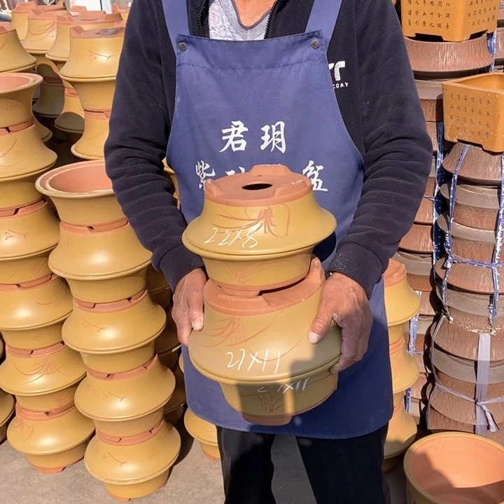 紫砂花盆盆栽花卉苗木