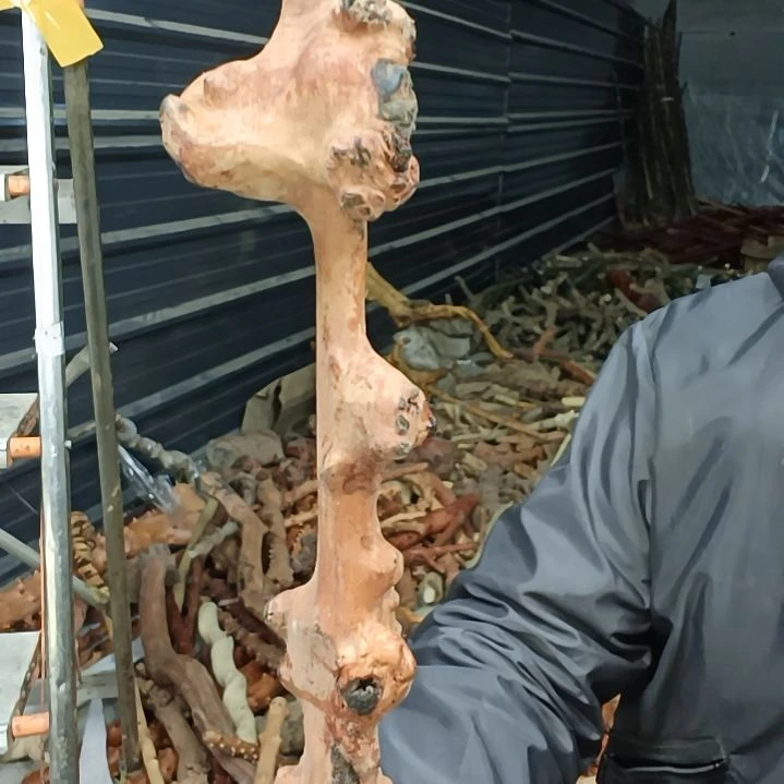 稳定木哈*贵州檬子木   铁马鞭   根艺  半成品