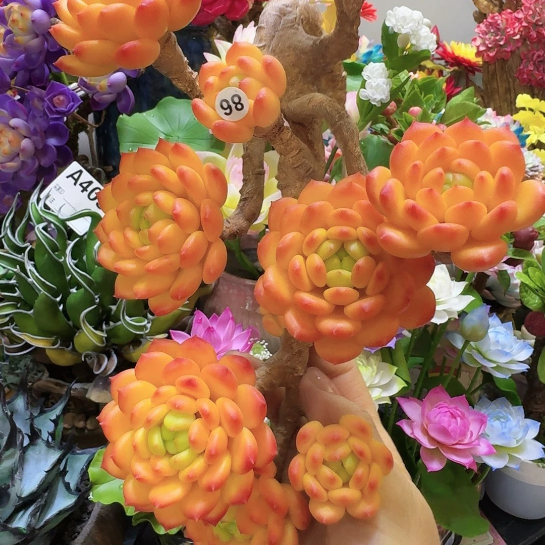 我的小可爱们要加油哦打榜