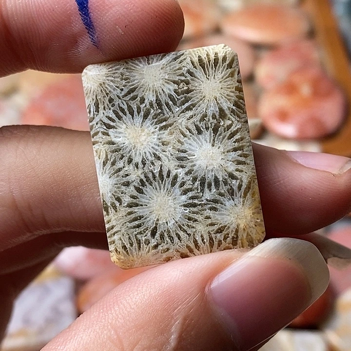 福***庆硅化玉未镶嵌吊坠