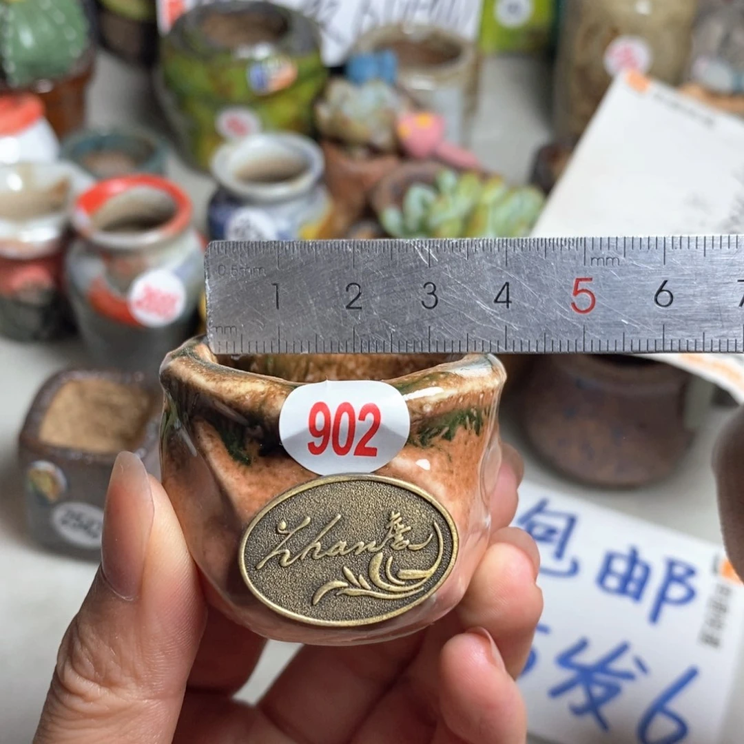 拍5送一个小礼物