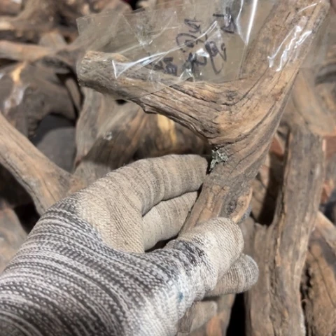 大果紫檀（缅甸花梨）尚****制