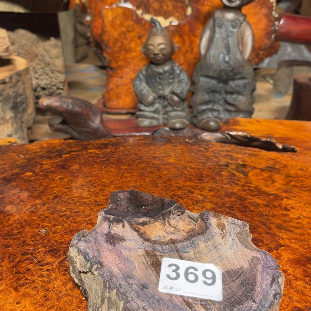 大果紫檀（缅甸花梨）