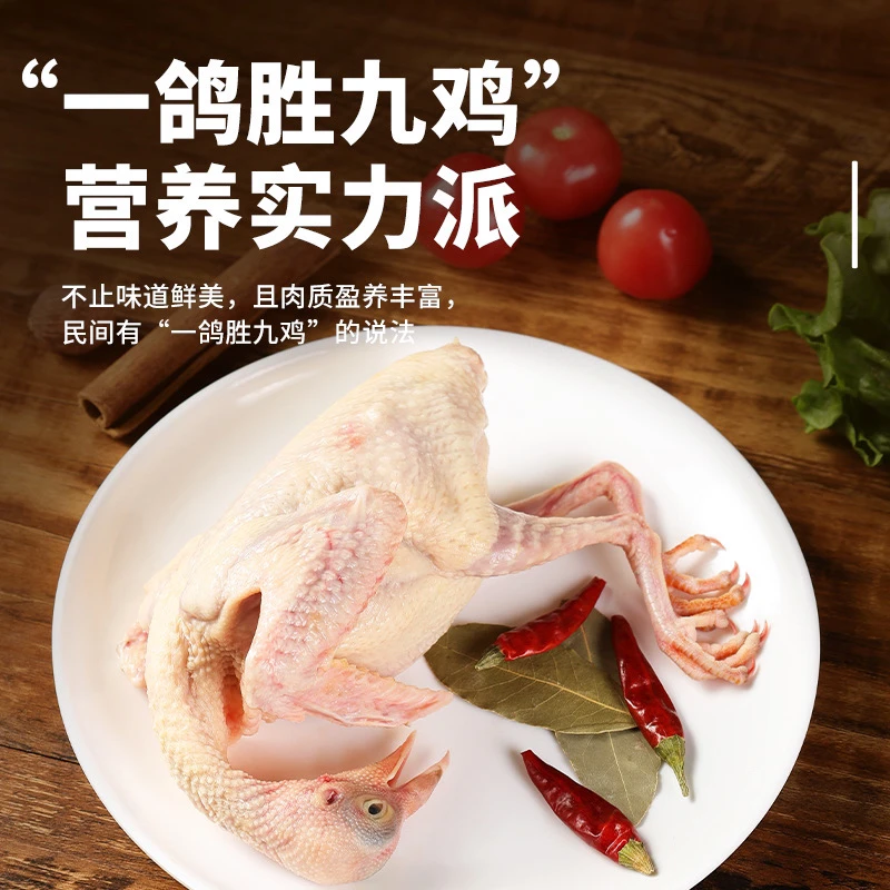 山东农村农场散养土鸽子、汤鲜味美、营养翻倍！