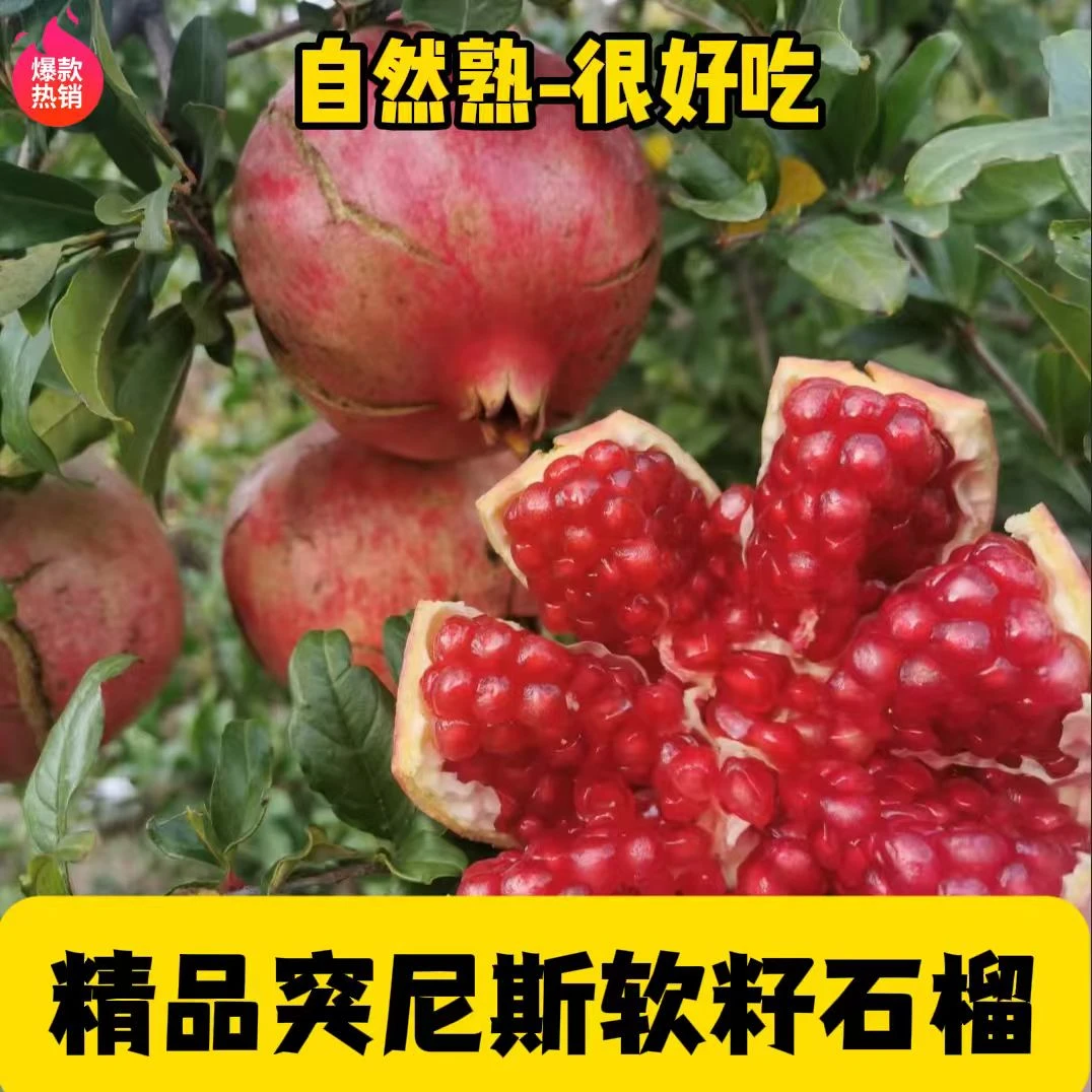 【国企助农】突尼斯软籽石榴生态无农药残留绿色水果礼盒石榴