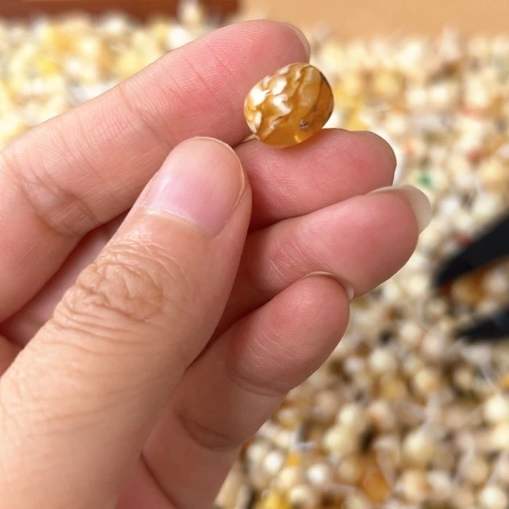 裸石蜜蜡未镶嵌11.9mm一个