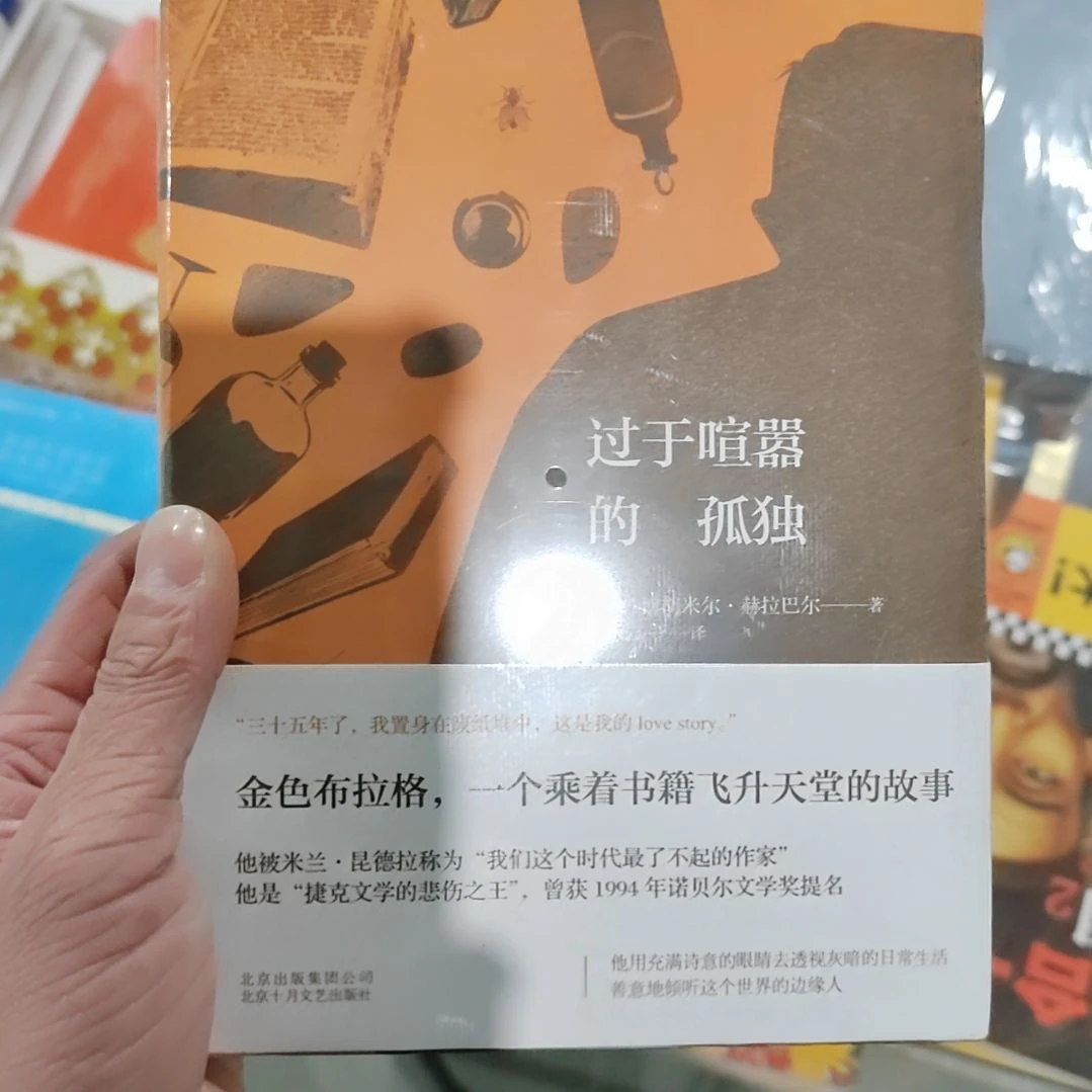 过于喧嚣的孤独