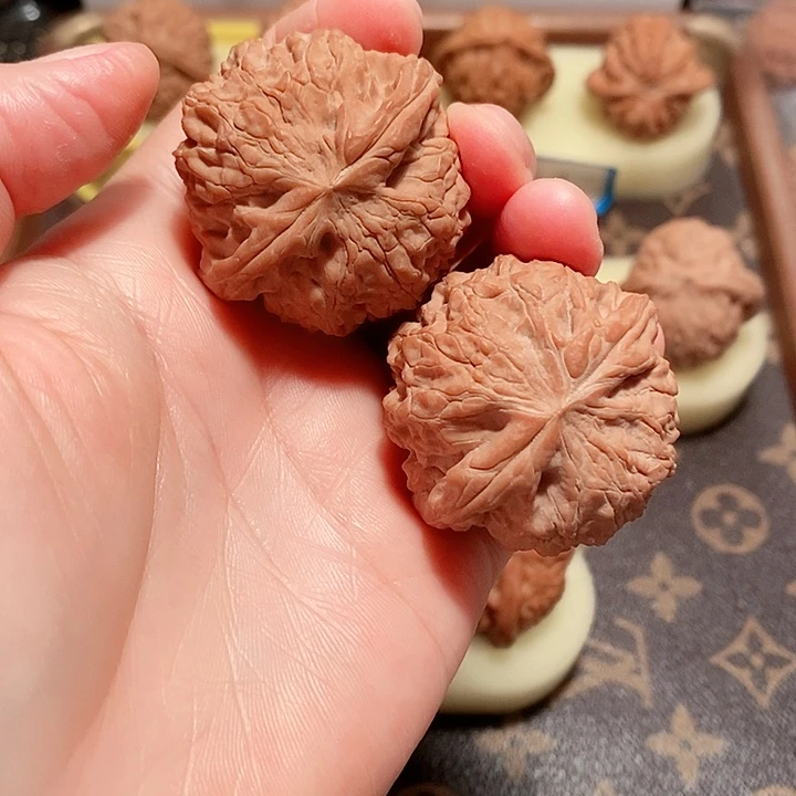 核桃手串/手链40尺寸恐龙蛋