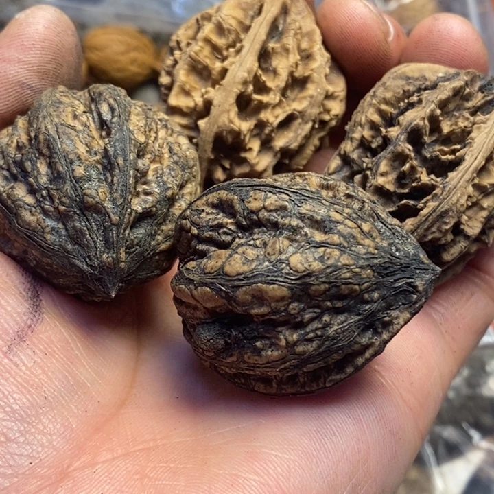 文玩核桃吊坠东北特产137