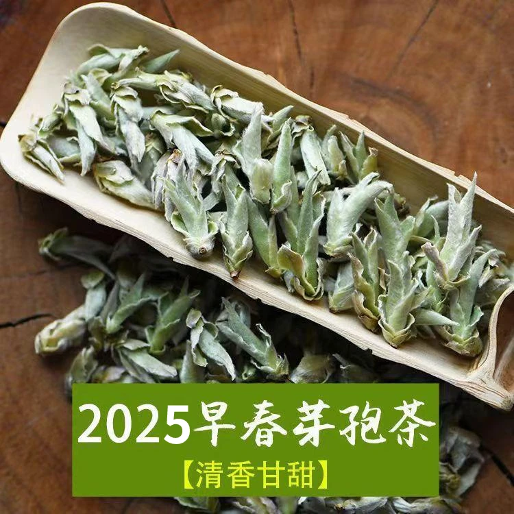 2025年普洱茶云南新茶古树白茶芽孢清香鲜爽春茶野生白芽苞250g