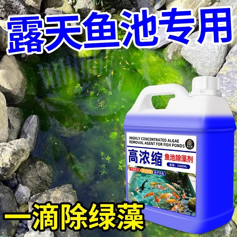 鱼缸除藻剂去苔剂净青苔清除剂褐藻去除神器绿水绿藻丝藻克星专用