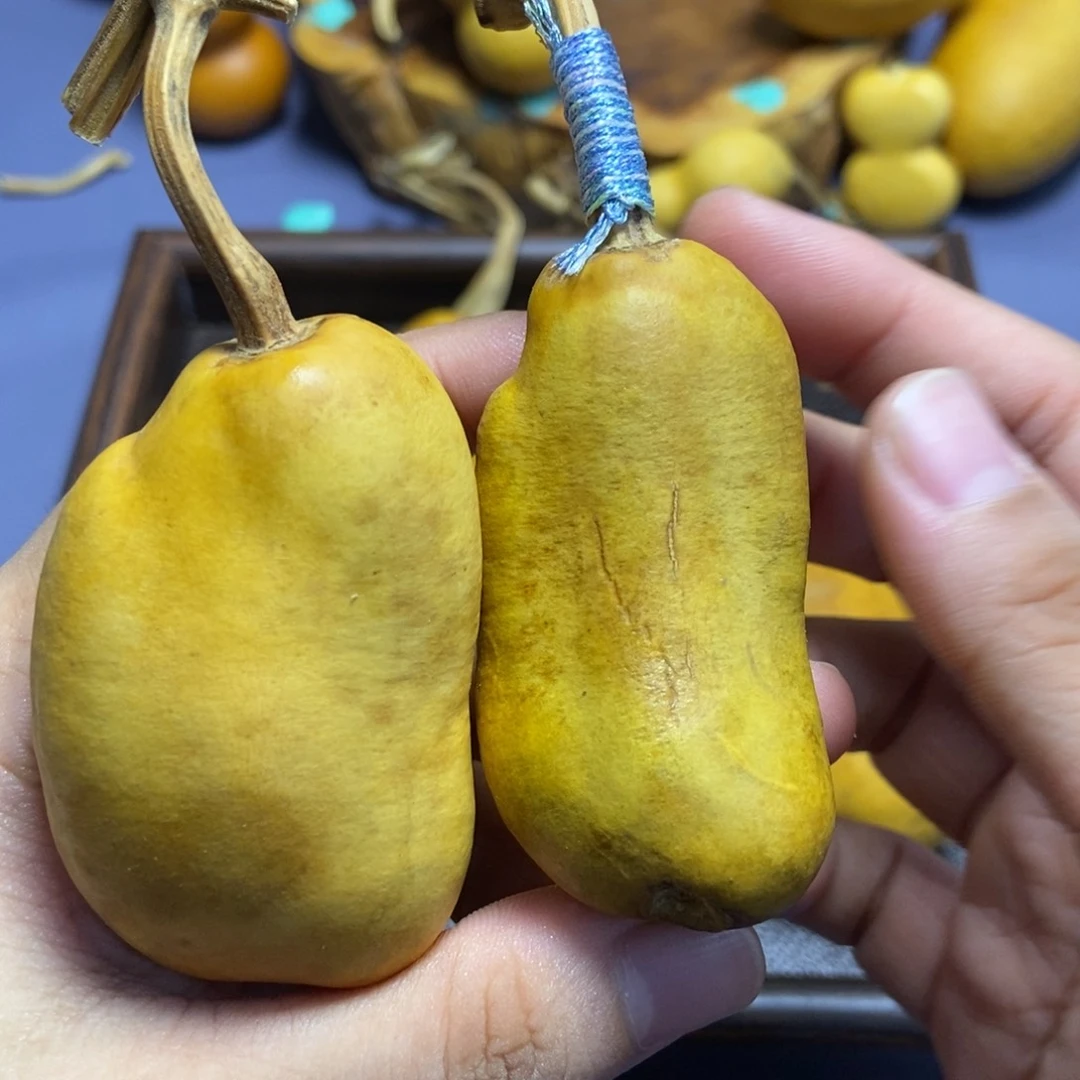 哈哈哈哈哈哈哈哈哈