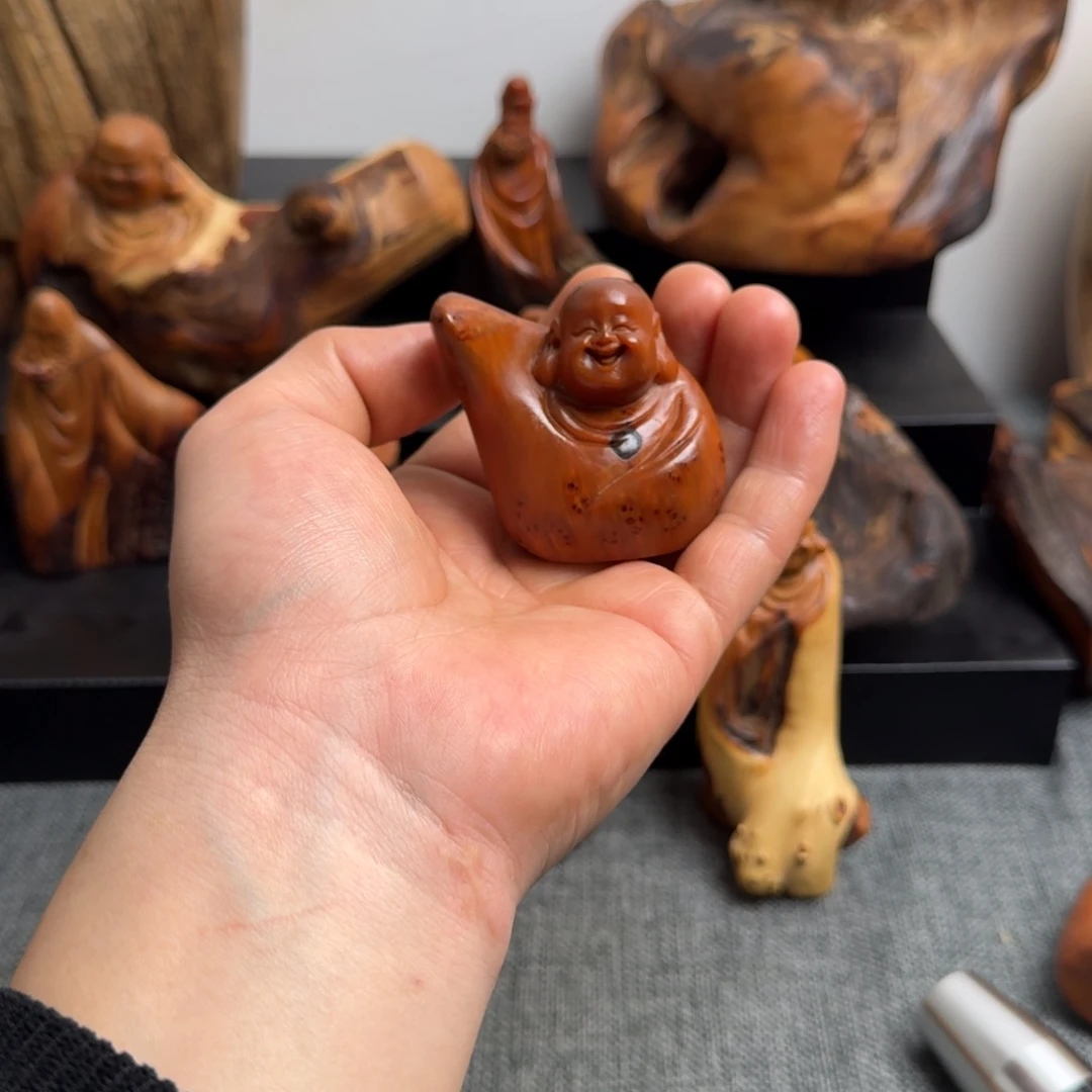 柏木（崖柏）太行崖柏