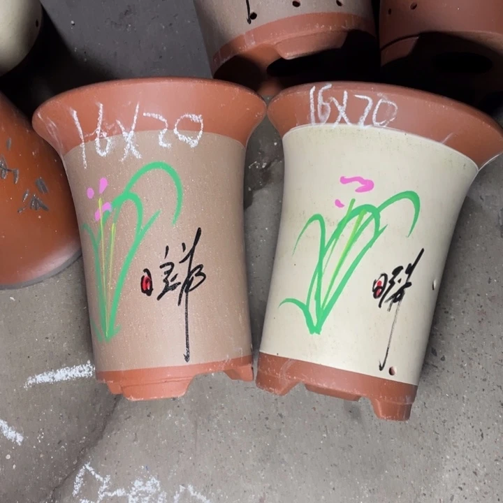 周深周深周深周深