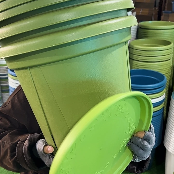 特价青山口40高34果绿带托5只