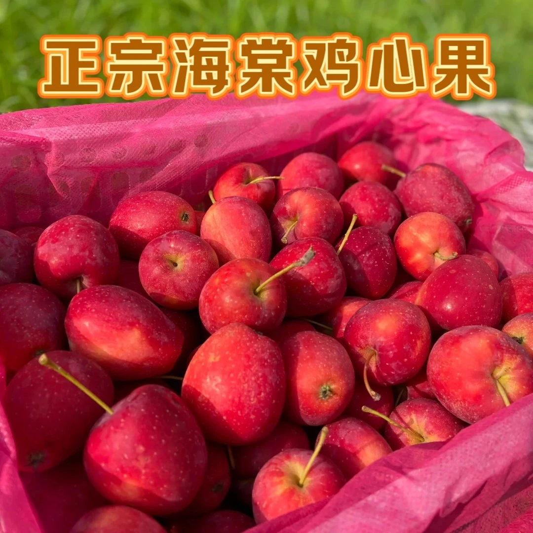 东北特产新鲜鸡心果锦绣海棠果酸甜脆口当季水果