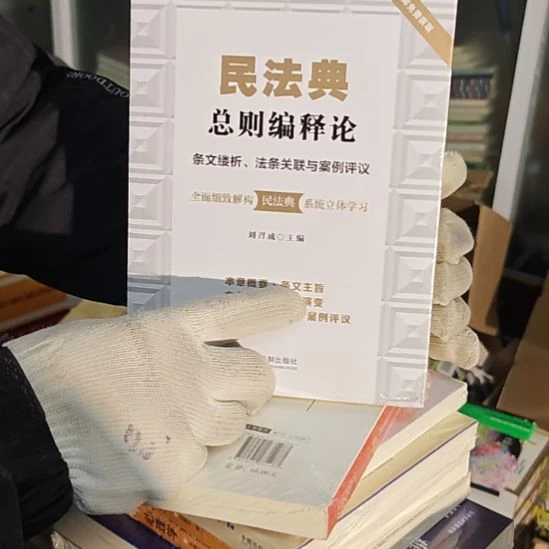民法典总则编释论平装库存书