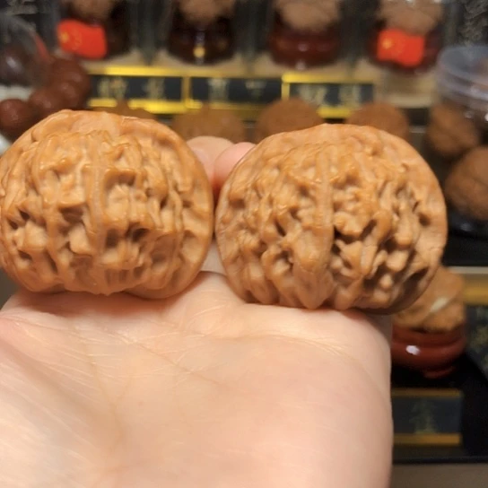 精品：天地狮子头货头