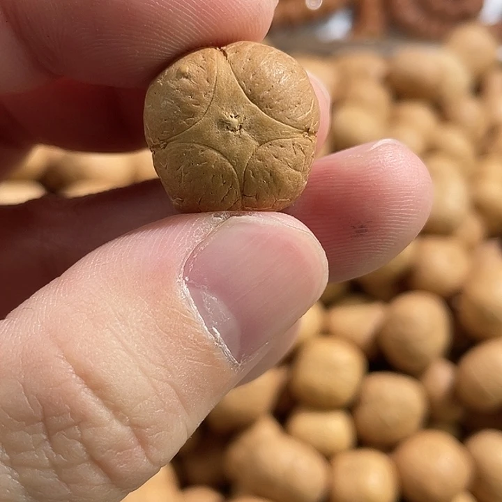 凤眼菩提吊坠尼泊尔小凤眼