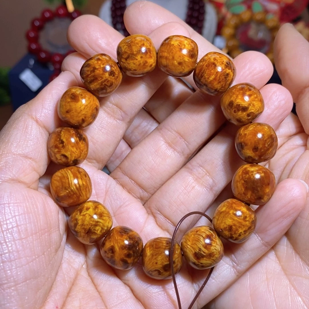 贝壳杉帝王血龙木1.3留疤