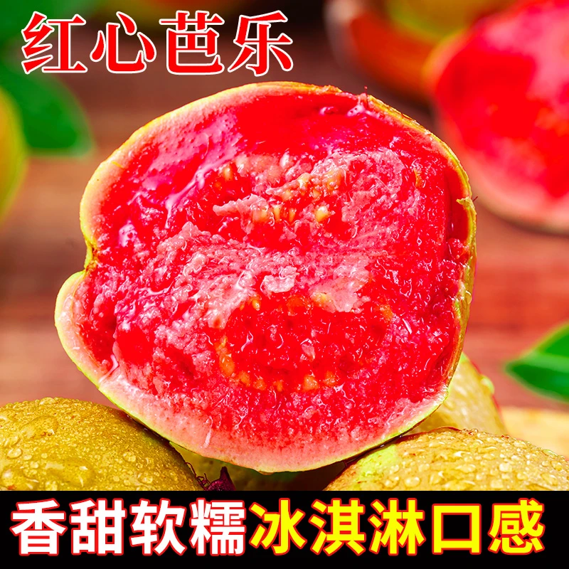 广西红心芭乐新鲜水果番石榴软糯当应季整箱