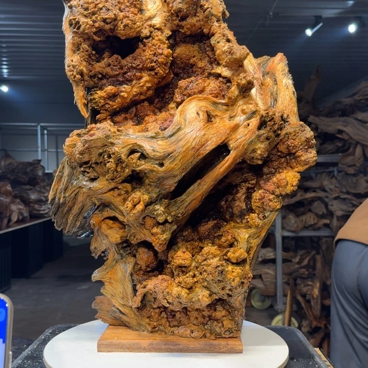 木七王一刀琥珀木41