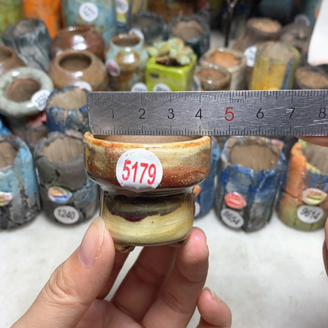 拍5送一个小礼物