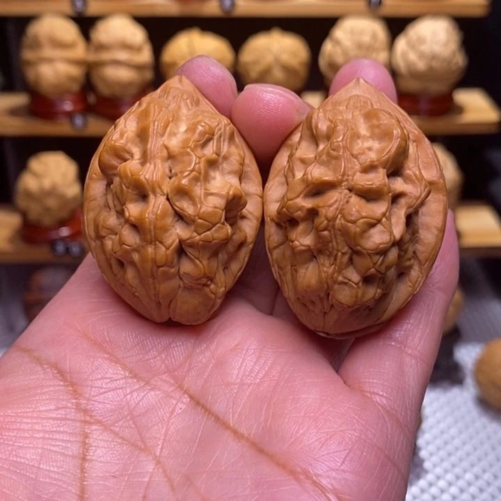 木质类云铁毒蝎子73号