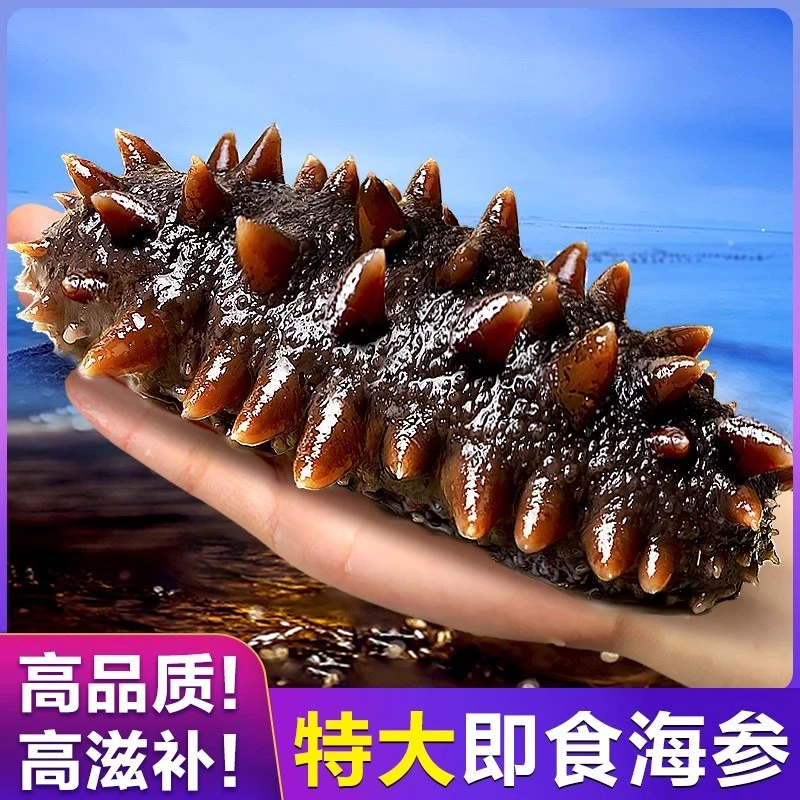 大参王4-6头/7-9头即食海参精品海参500g顺丰发货老人孩子营养