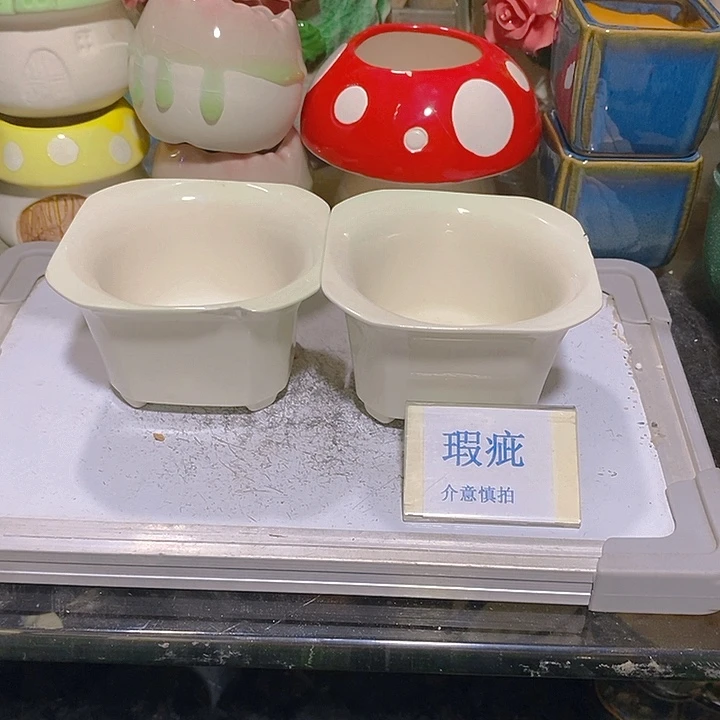 摆件多肉瑕疵盆有孔。