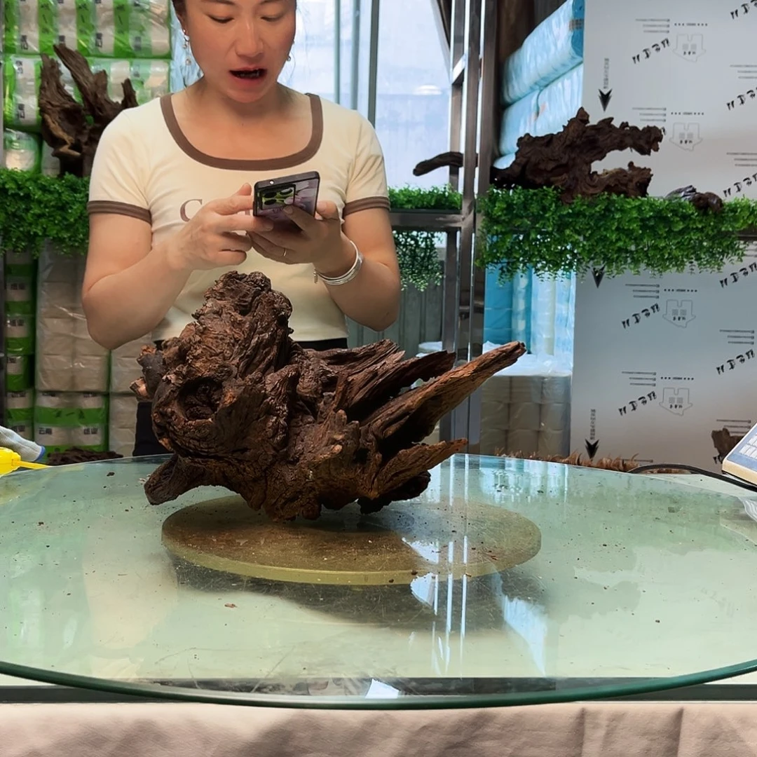 用***7柚木沉木鱼缸造景