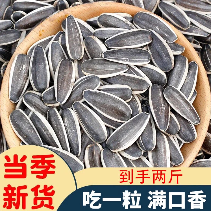 25年新货内蒙古葵瓜子好品质现炒现发
