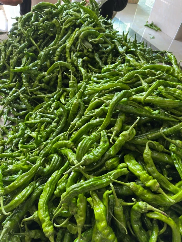 香辣薄皮青椒中辣（4斤装）