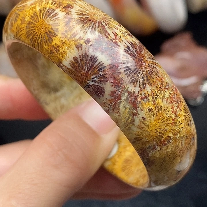 硅化玉未镶嵌颈饰