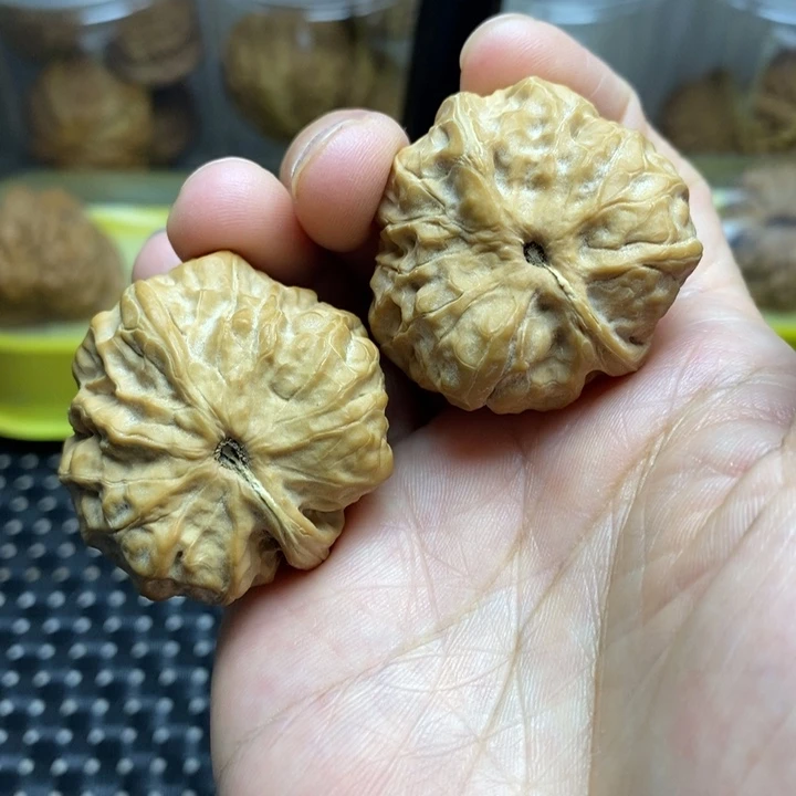 核桃手串/手链全品蛤蟆异形