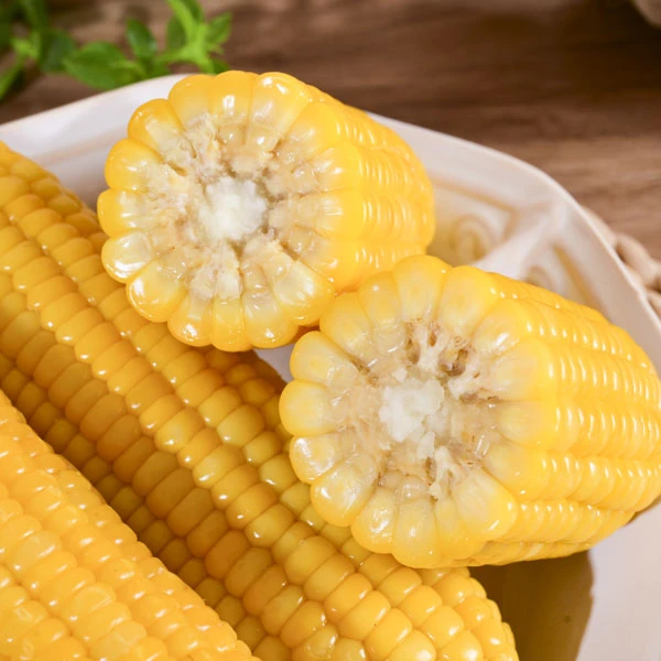 (试吃3根)25年东北头茬黄糯玉米软糯香甜黏整箱8大棒净重5斤