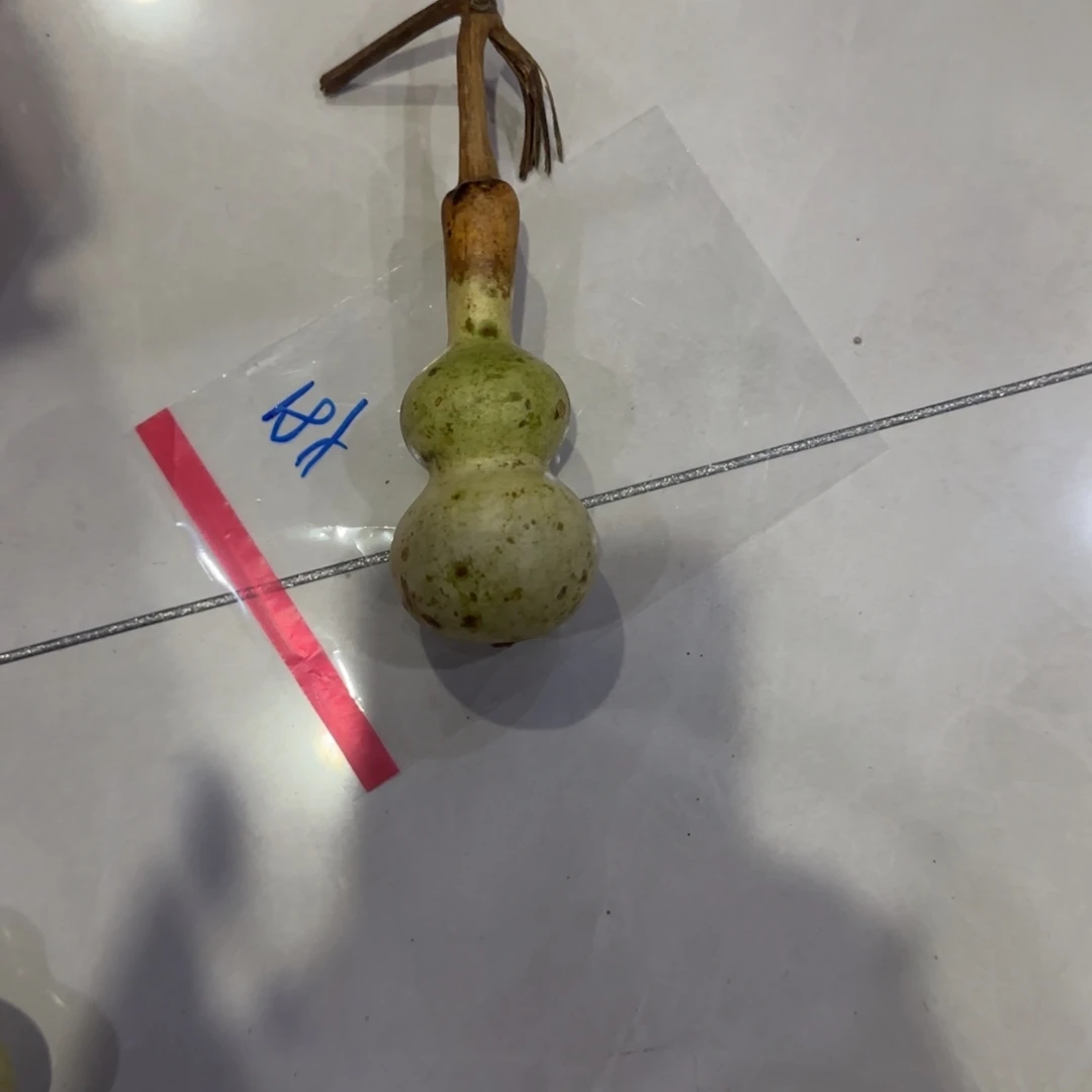 静***运青皮不包成青皮不包成