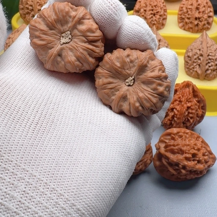 核桃福利38尺门头沟元宝