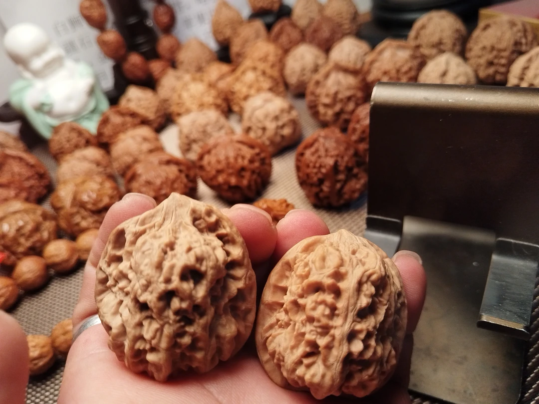 西北将军膀，练手对，随机发，不接受退换