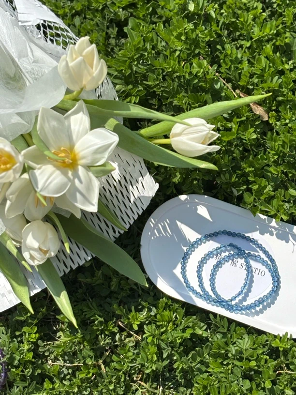 【椿·醒】三圈魔鬼蓝