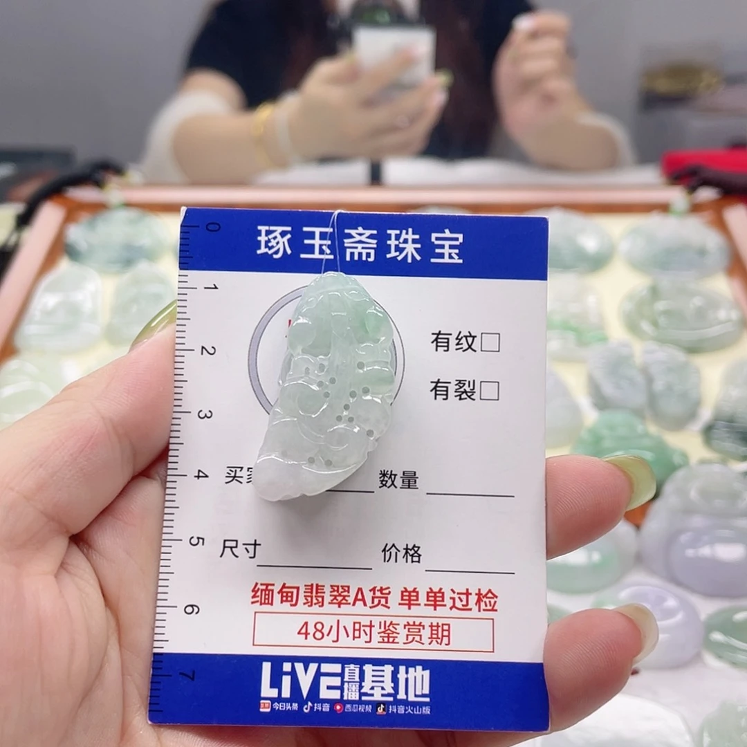 颈饰未镶嵌翡翠貔貅