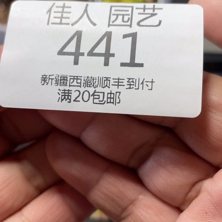 二*二宝娜凯瑟琳里441