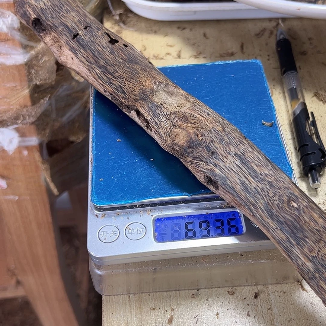 香料绿奇楠乌身圆叶虫漏69克
