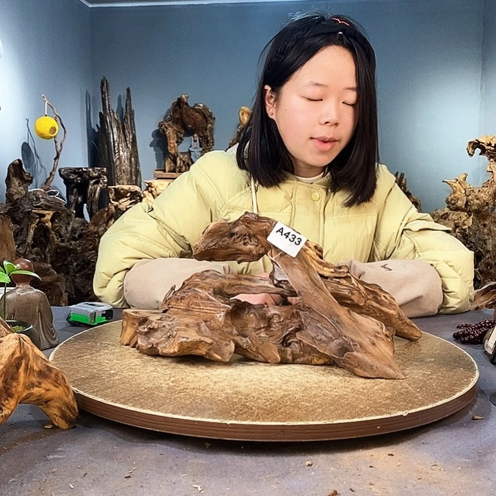 茶盏傲****车433株木随行的小根艺